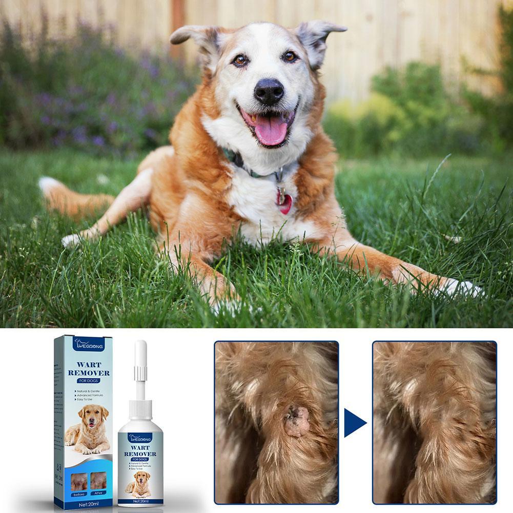 Evcil köpek siğil sökücü doğal - Skincare Animate incelemesi ve fiyatı