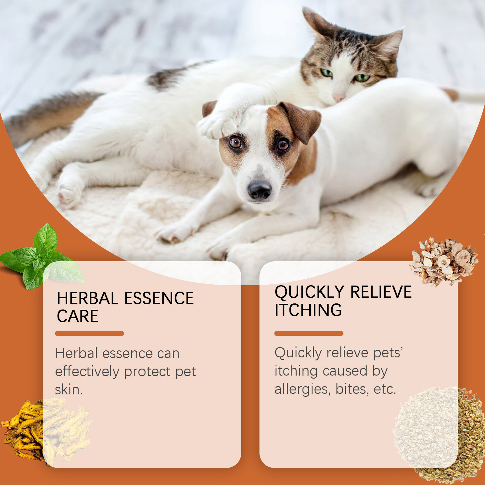 Yeni Pet Antiitch Antialerjik  - Skincare Animate incelemesi ve fiyatı