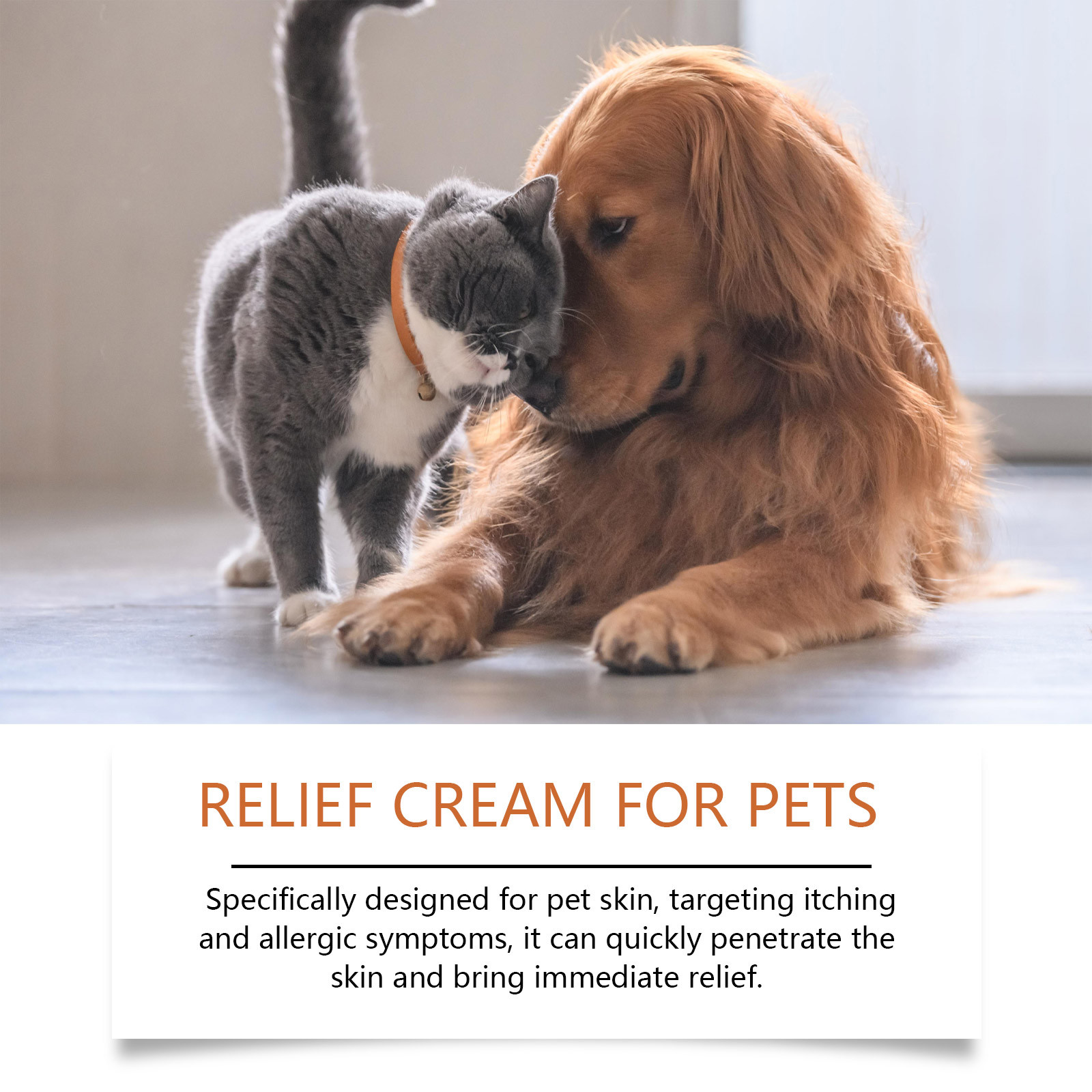 Yeni Pet Antiitch Antialerjik  - Skincare Animate incelemesi ve fiyatı